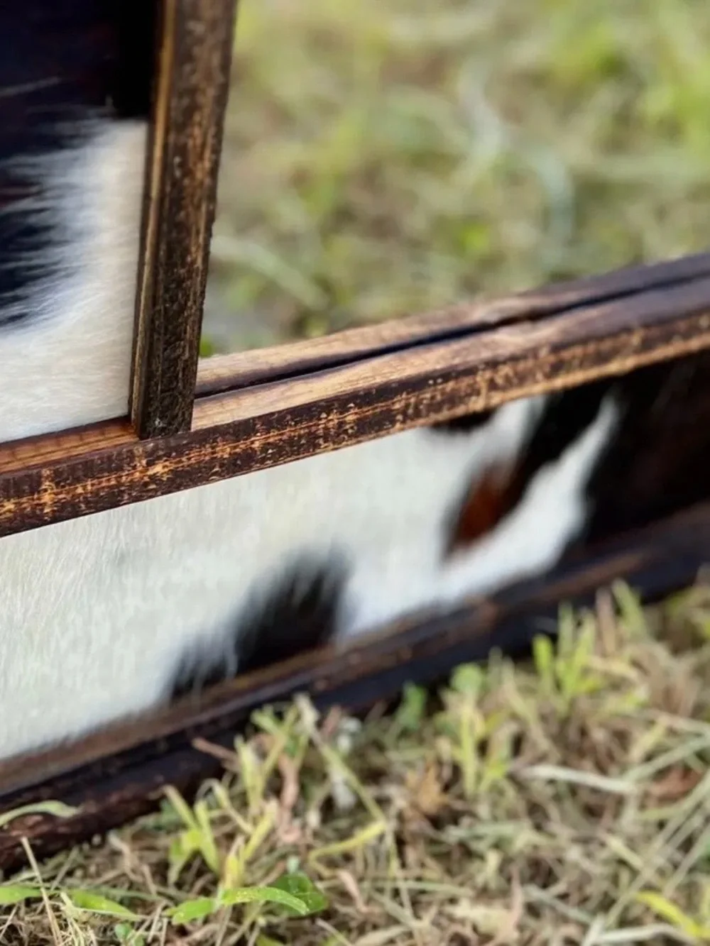 Rustic Cowhide Accent Wall Mirror - White & Brown